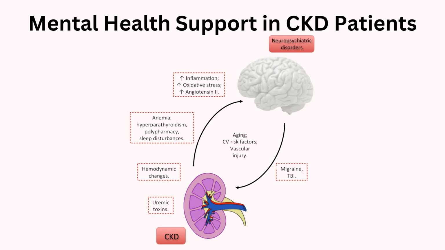 Mental Health Support in CKD Patients