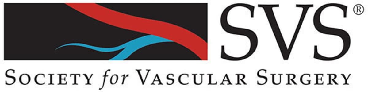 International Vascular Surgery Standards
